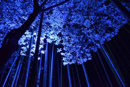 嵐山・花灯路２０１３（１）