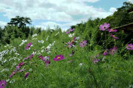 大原は秋です★