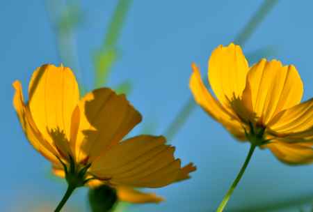 青空に映えますね・・・