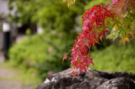 まだ、始まったばかり・・・