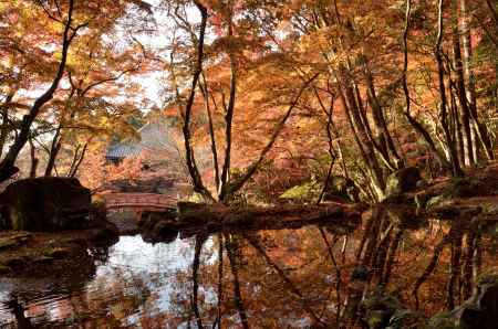 これぞ・・・錦秋