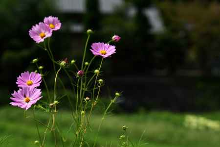 もう・・・秋の始まり