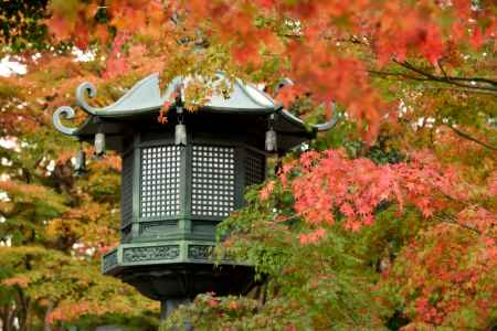 もみじに、埋もれた灯篭