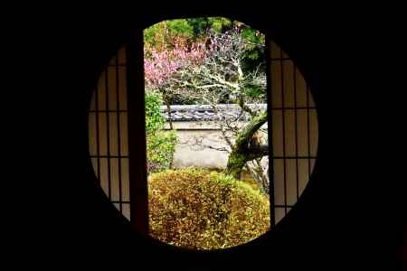 悟りの窓・梅