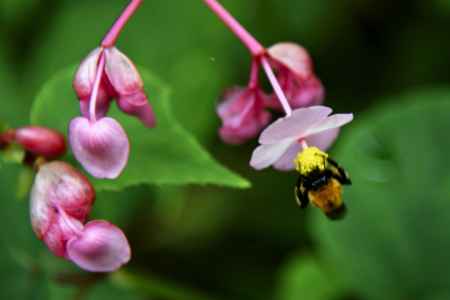 働いてま～す^^