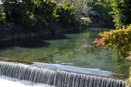 嵐山、こちらもよろしく！