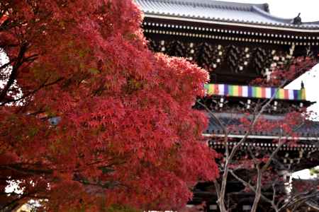 山門に映える紅葉