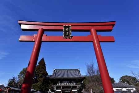 梅宮大社・鳥居