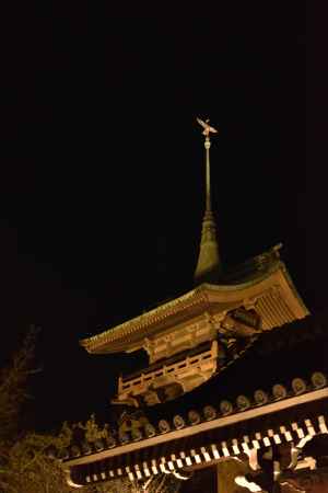 祇園閣ライトアップ
