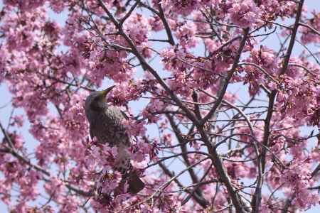遊びに来たよ・・・