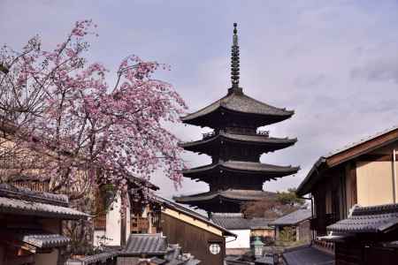 八坂の塔と桜（１）