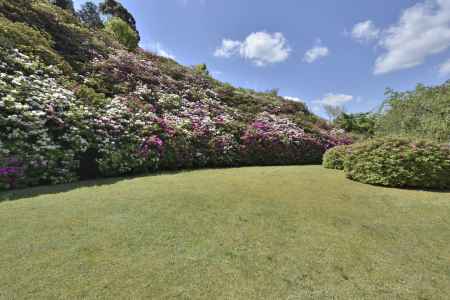 三室戸寺・躑躅（１０）