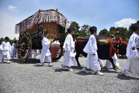 葵祭2017（１０）　