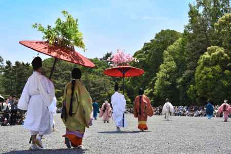 葵祭2017（１９）