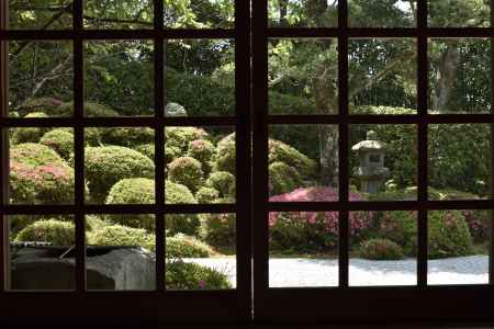 金福寺・皐月（１）