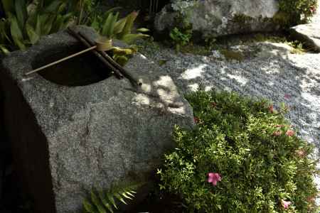 金福寺・皐月（２）