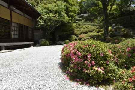 金福寺・皐月（３）