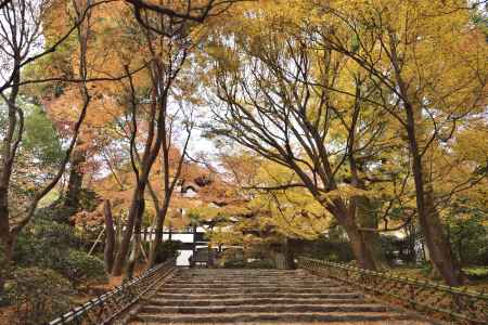 龍安寺・紅葉２０１７（１０）