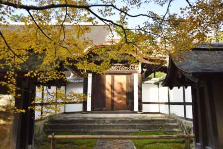 龍安寺・紅葉２０１７（１５）