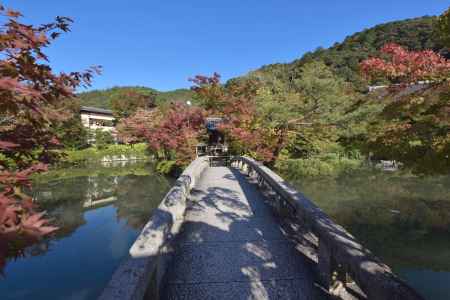 永観堂・紅葉２０１７（１７）