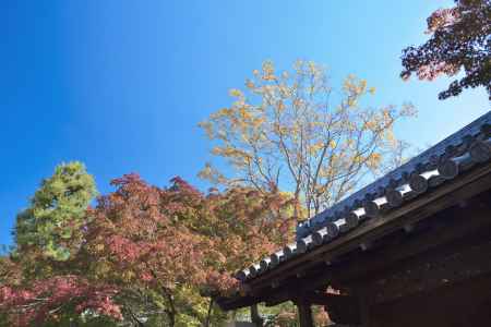 南禅寺・紅葉２０１７（３）