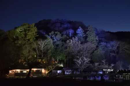 嵐山花灯路２０１７（３）