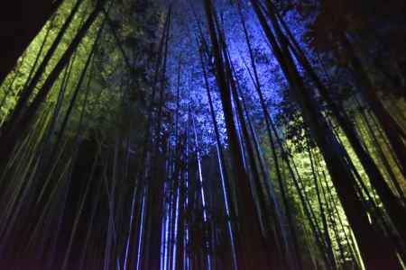 嵐山花灯路２０１７（４）