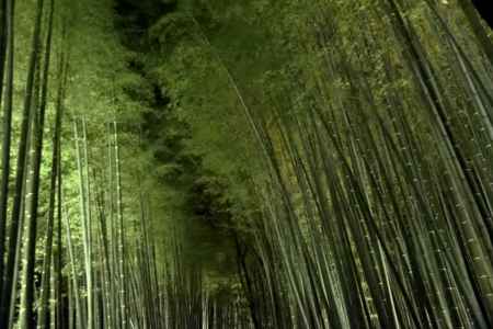 嵐山花灯路２０１７（５）