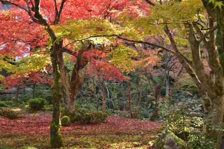 圓光寺２０１７（７）