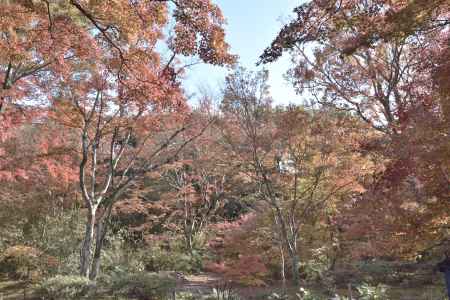 宝筐院２０１７（３）