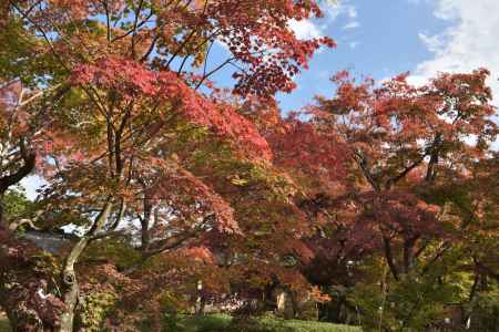 宝厳院2017（１）