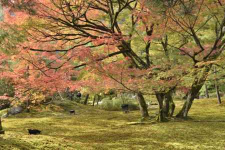 宝厳院2017（３）