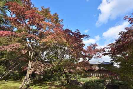 宝厳院2017（６）