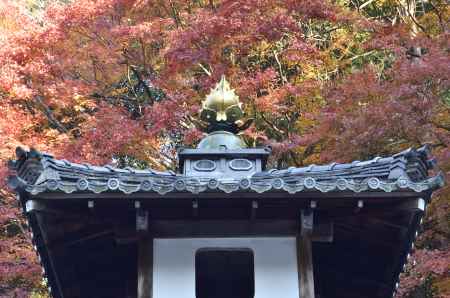 山科聖天２０１７（３）