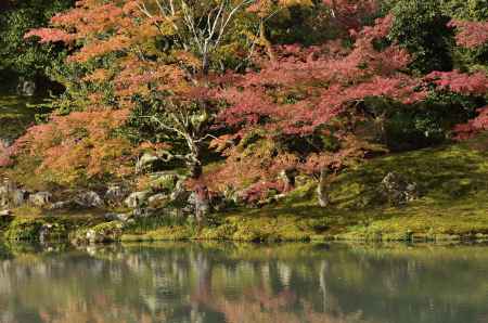 天龍寺・紅葉２０１７（６）