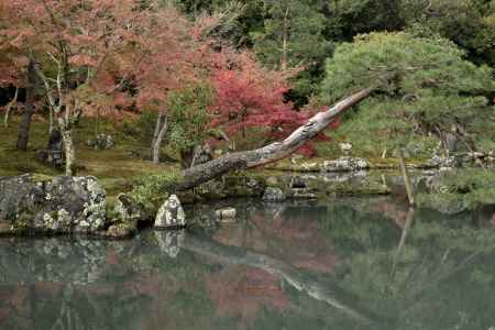 天龍寺・紅葉２０１７（９）
