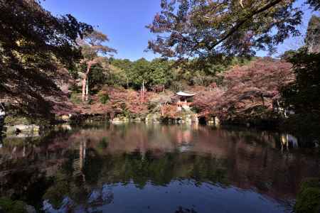 醍醐寺・紅葉２０１７（１）