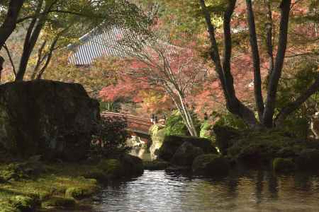 醍醐寺・紅葉２０１７（５）