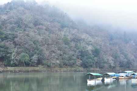 嵐山・朝もや（２）