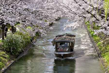 中書島　（2022年4月1日）Scene6