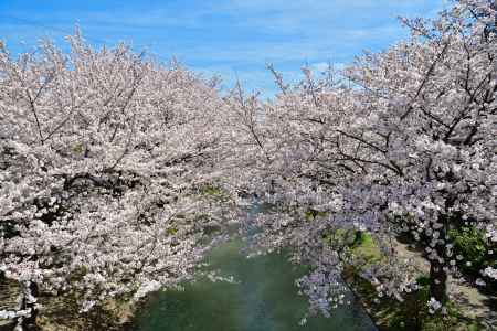 中書島　（2022年4月1日）Scene15