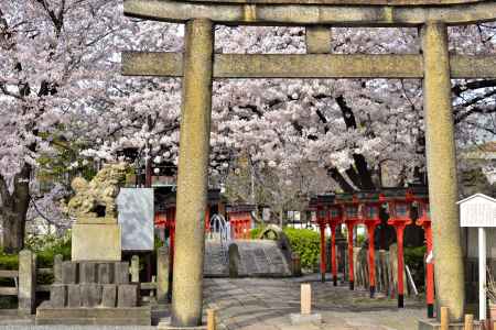 六孫王神社（2022年4月2日）Scene８