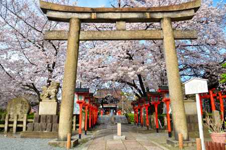 六孫王神社（2022年4月2日）Scene11
