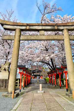 六孫王神社（2022年4月2日）Scene12