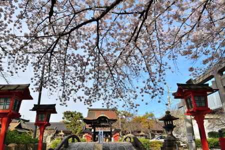 六孫王神社（2022年4月2日）Scene19