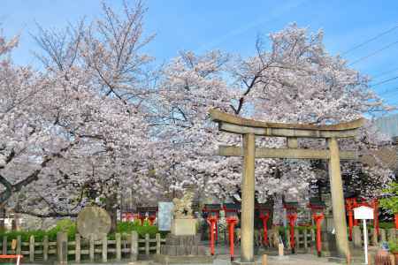 六孫王神社（2022年4月2日）Scene25