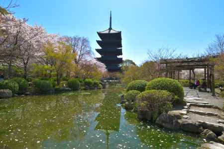 東寺（2022年4月5日）Scene14