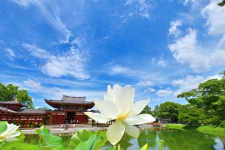 平等院蓮と鳳凰堂　scene１