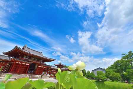 平等院蓮と鳳凰堂　scene3