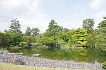 京都御所　新緑の御池庭